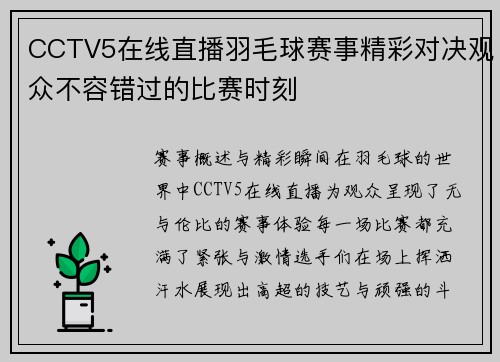 CCTV5在线直播羽毛球赛事精彩对决观众不容错过的比赛时刻