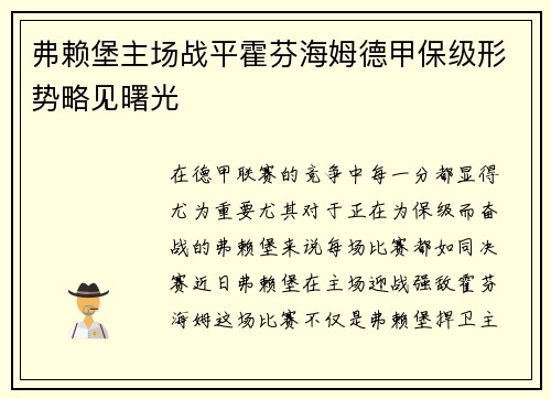 弗赖堡主场战平霍芬海姆德甲保级形势略见曙光